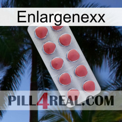 Enlargenexx 18